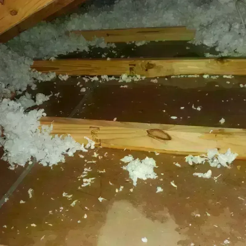 Attic Water Damage in Milford, MA